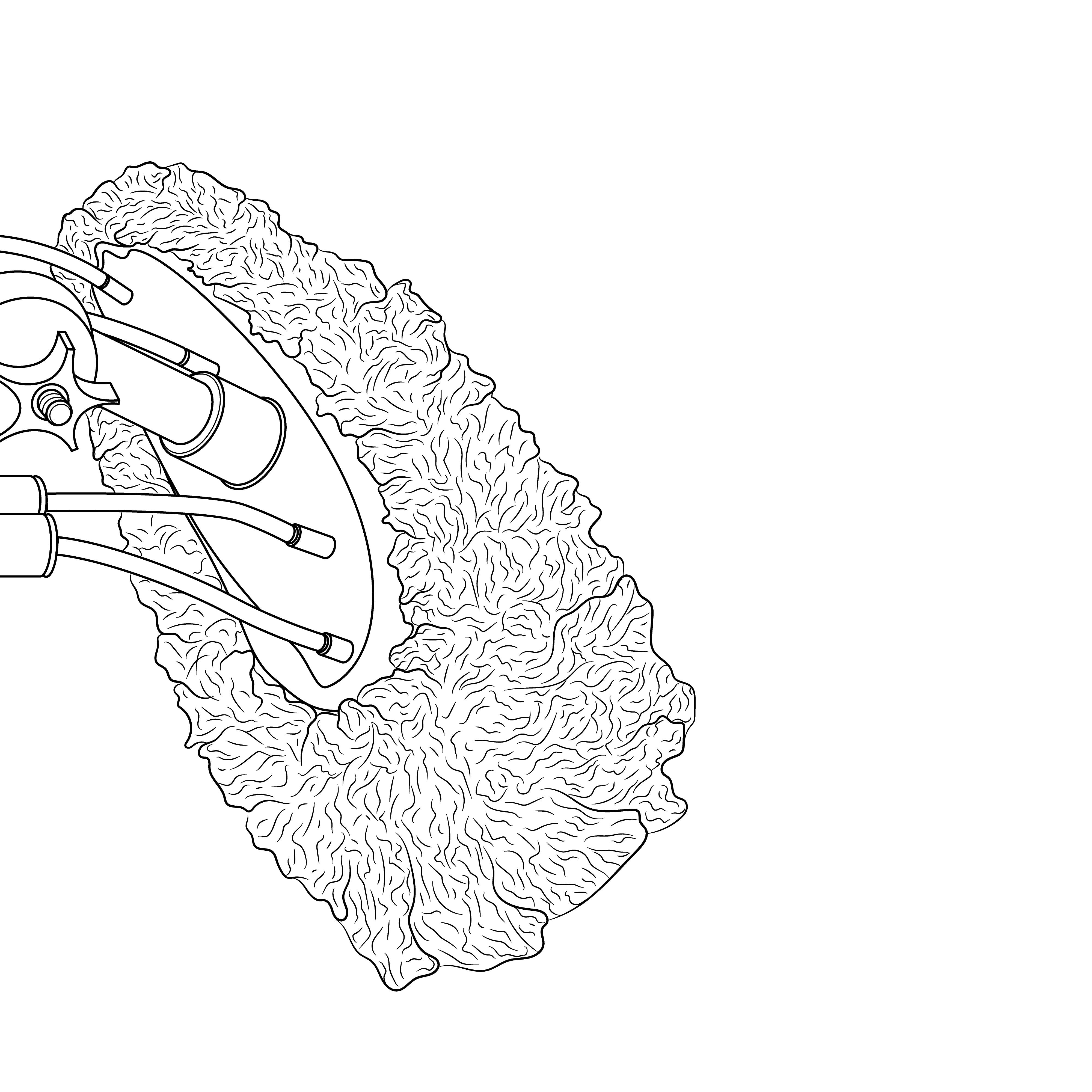 Waschbürstenüberzug