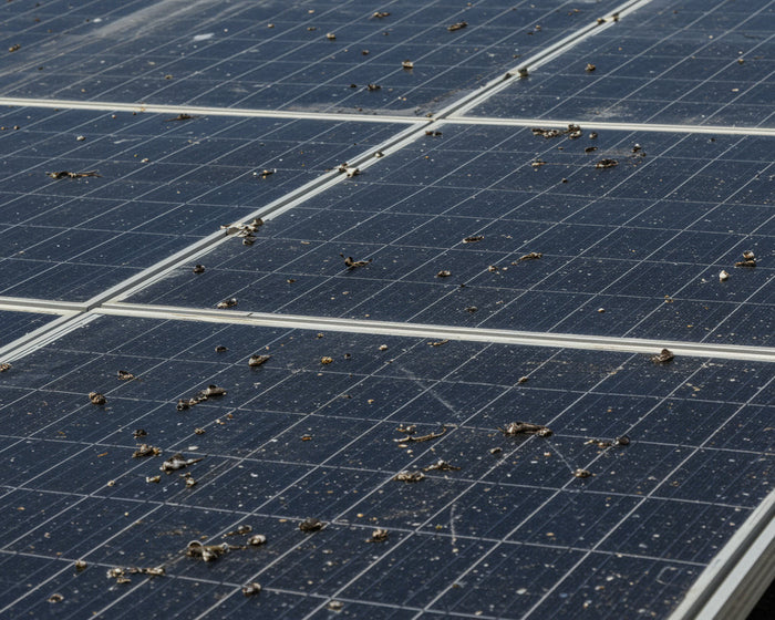 PV-Anlage reinigen: Wie viel Ertrag du wirklich zurückholst